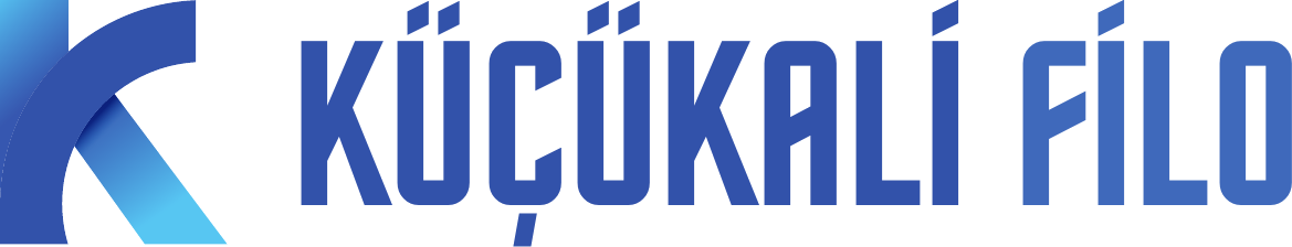 Küçükali Filo